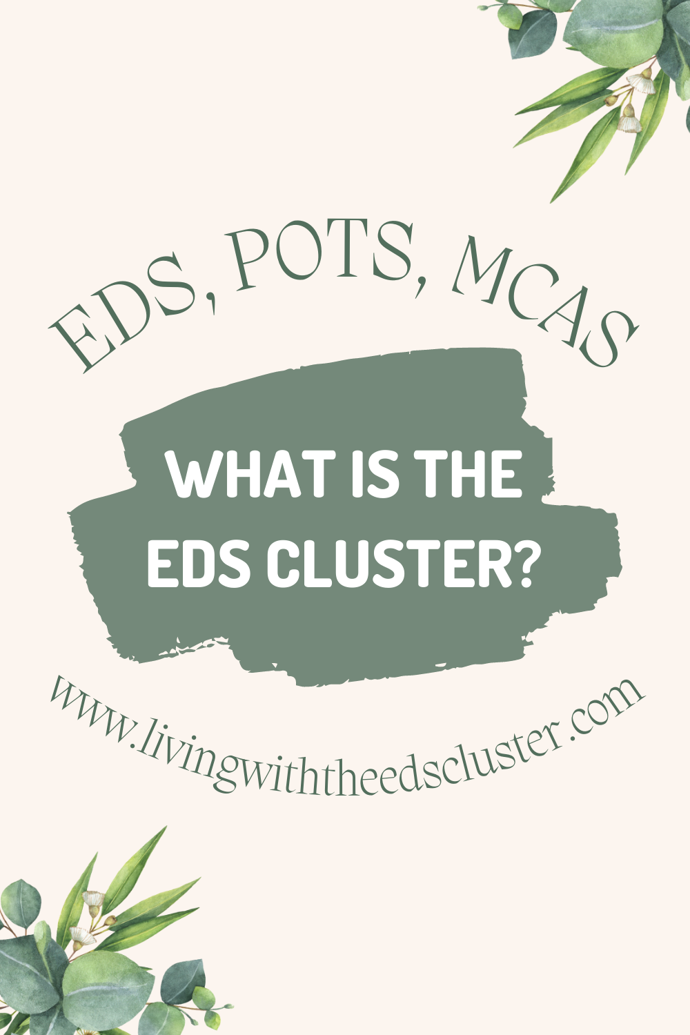 EDS POTS MCAS Cluster