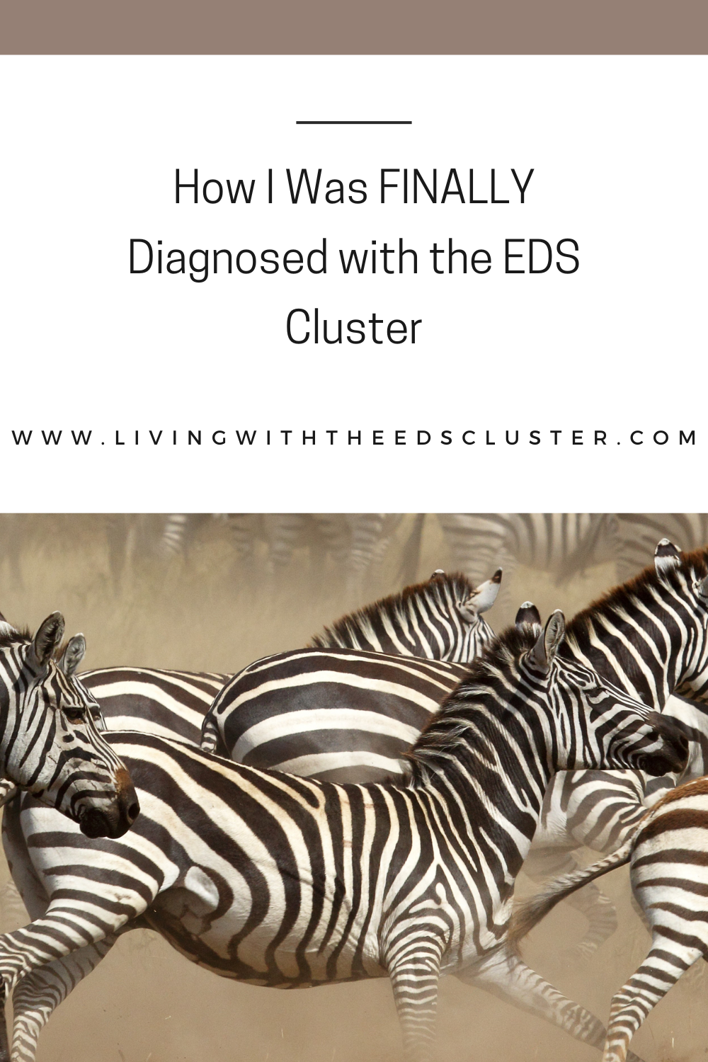 How I was FINALLY Diagnosed with the EDS Cluster